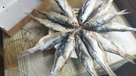Азбука рыбного вкуса: морские деликатесы премиум-класса в Керхер