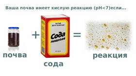 Чем погасить кислую почву в Керхер