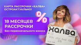 Что такое карта рассрочки Халва в Керхер