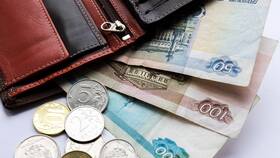 Что такое официальный доход в Керхер