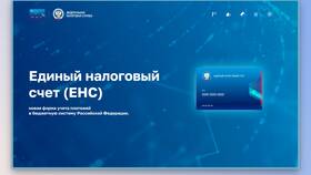 Что такое отрицательное сальдо ЕНС в Керхер