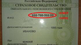 Что зашифровано в номере СНИЛС в Керхер