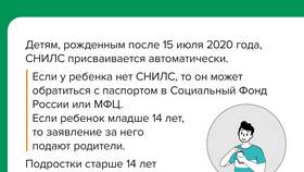 Для чего клиники запрашивают СНИЛС в Керхер