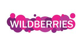 Как начинал Wildberries в Керхер