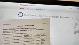 Как написать справку по форме в Керхер