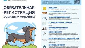 Как оформить номер телефона на паспорт в Керхер