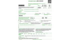 Как оформить страховку ОСАГО электронно в Керхер