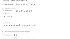 Как оформить учредителя в качестве директора ООО в Керхер