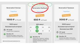 Как оплатить услуги МегаФона в Керхер