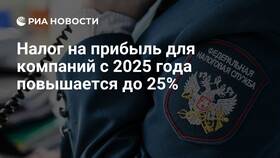 Как платить налог на прибыль в 2025 году в Керхер