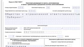 Как подать нулевую декларацию ООО в Керхер