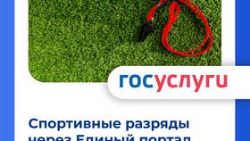 Как подать заявление на присвоение спортивного разряда через Госуслуги в Керхер