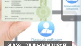 Как посмотреть номер СНИЛС по паспорту в Керхер