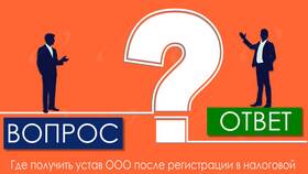 Как посмотреть устав ООО в Керхер