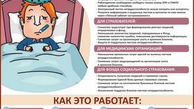 Как позвонить в ФСС по вопросам больничного листа в Керхер