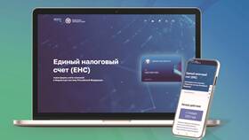 Как распорядиться положительным сальдо ЕНС в Керхер