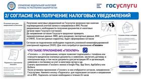 Как сдать отчет через портал Госуслуги в Керхер