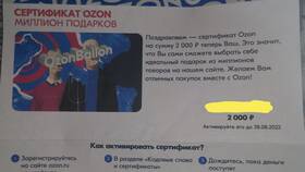 Ozon Чек: что это в Керхер