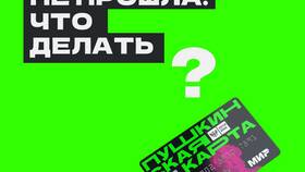 Почему не дает оплатить Пушкинской картой в Керхер