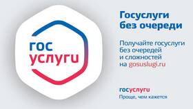 Почему не загружается портал Госуслуги в Керхер