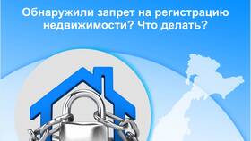 Почему выдают запрет на регистрацию автомобиля в Керхер