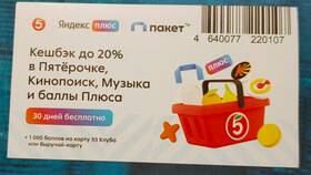 Сколько баллов можно списать в Пятёрочке в Керхер