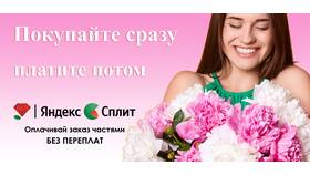 Сплит оплата частями: что это такое в Керхер