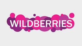 Wildberries или Valberries: как правильно в Керхер