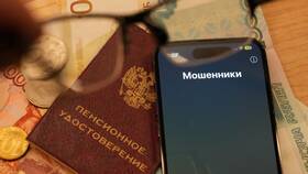 Зачем мошенники просят паспорт в Керхер