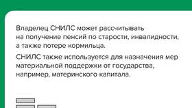 Зачем работодателю СНИЛС и паспорт в Керхер