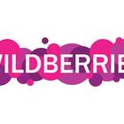 Как начинал Wildberries