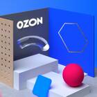 Как принять заказ Ozon Fresh в пункте выдачи