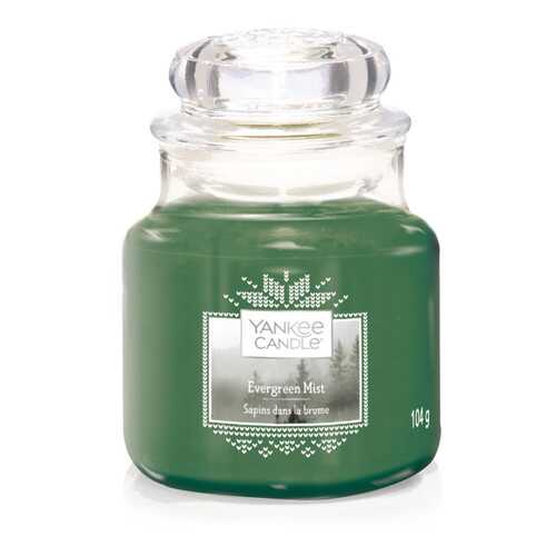 Свеча ароматическая Yankee Candle Evergreeen Mist Вечно-зеленая хвоя 25-40 ч в Керхер