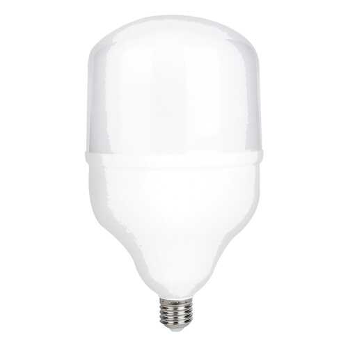 Светодиодная Лампочка SmartBuy SBL-HP-100-65K-E27 в Керхер